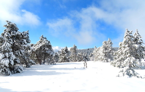 Journée au Mont Lozère