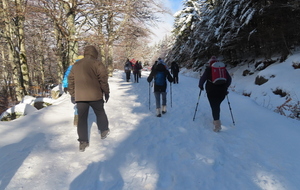 Sortie Neige